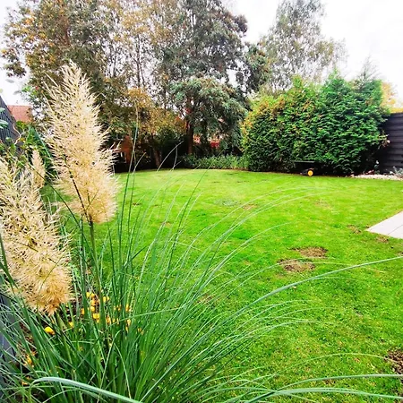 Heide Mit Garten Und Terrasse By Interhome * Bad Fallingbostel